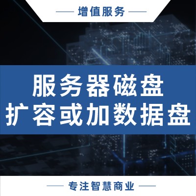 服务器磁盘扩容或加数据盘