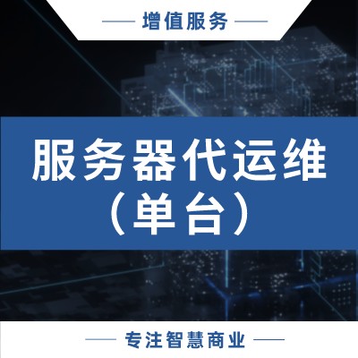 服务器代维护服务（非集群）